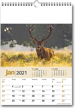 Custom Printed Wildlife Memo Wall Calendar