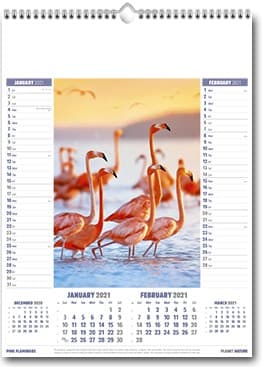 Custom Printed Planet Nature Wall Calendar