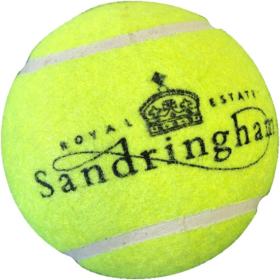 Custom Printed Tennis Ball Recreational 7cm - Image 1