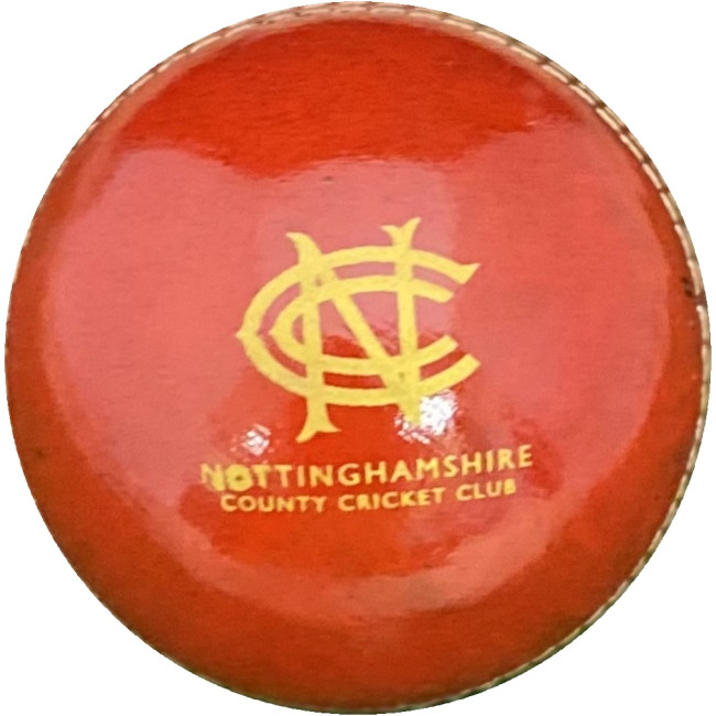 Custom Printed Practise Cricket Ball - Image 1