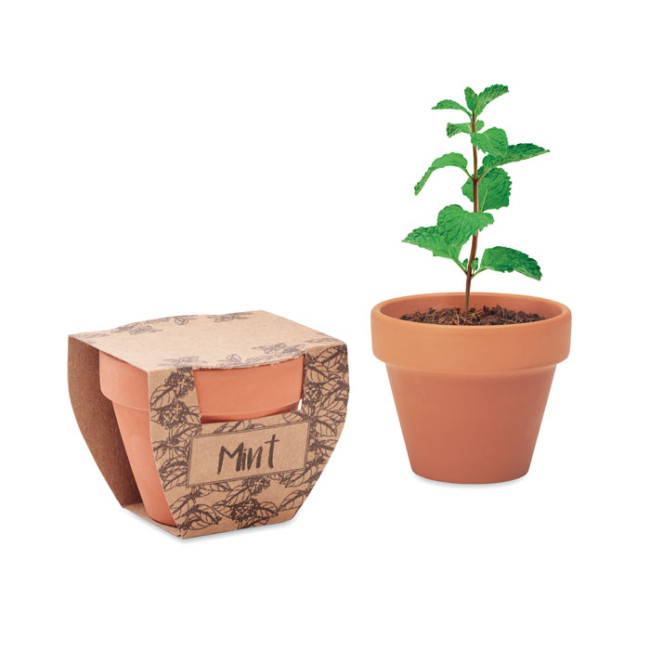 Custom Printed Terracotta Pot Mint Seeds