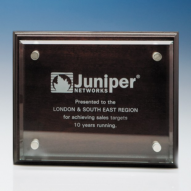 Branded 20.5cm x 25.5cm Clear Rectangle mounted on a Mahogany Plaque