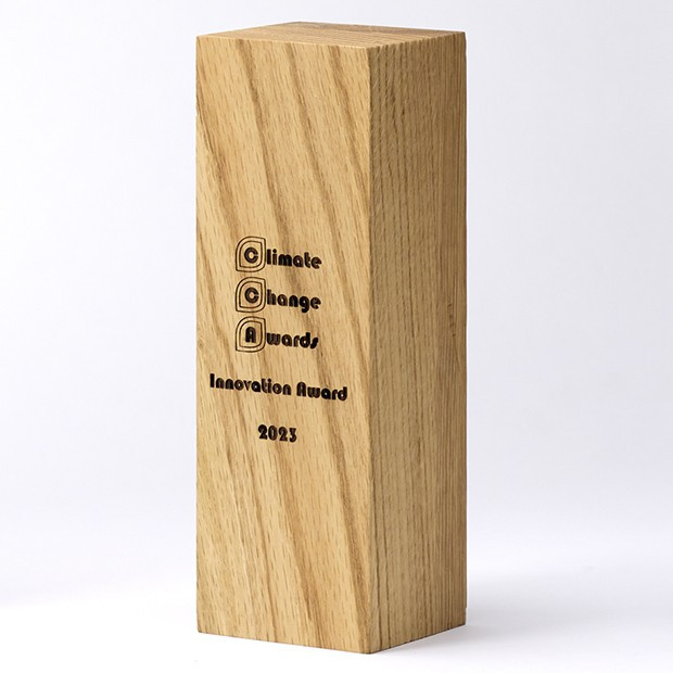 Branded 18cm x 6cm x 6cm Beech Square Column Award