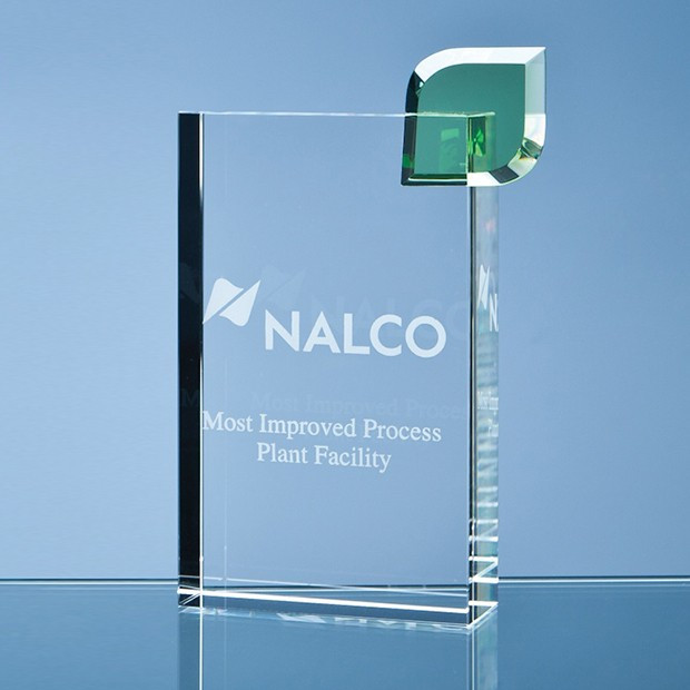 Custom Printed 17cm Optical Crystal 'Eco Excellence' Award with a Single Green Leaf