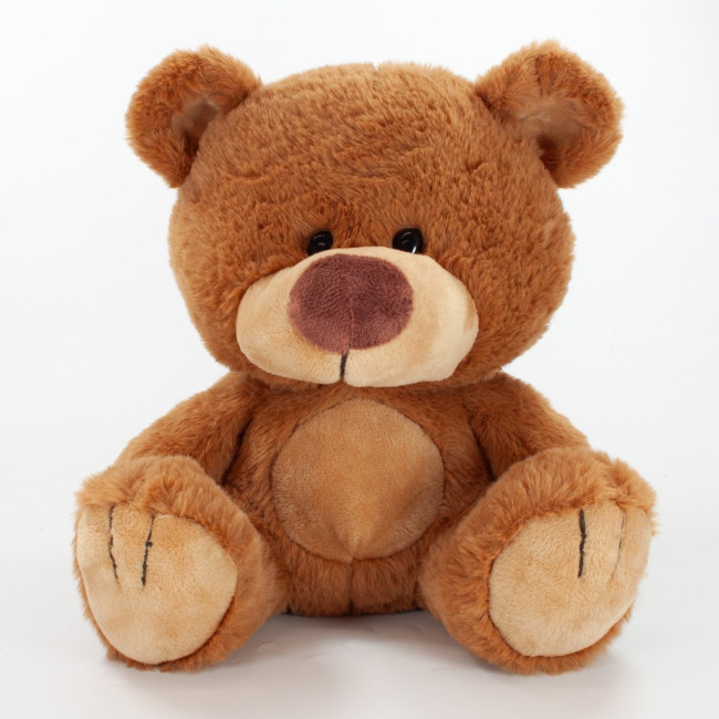 Custom Printed Charlie Bear 25cm - Image 2