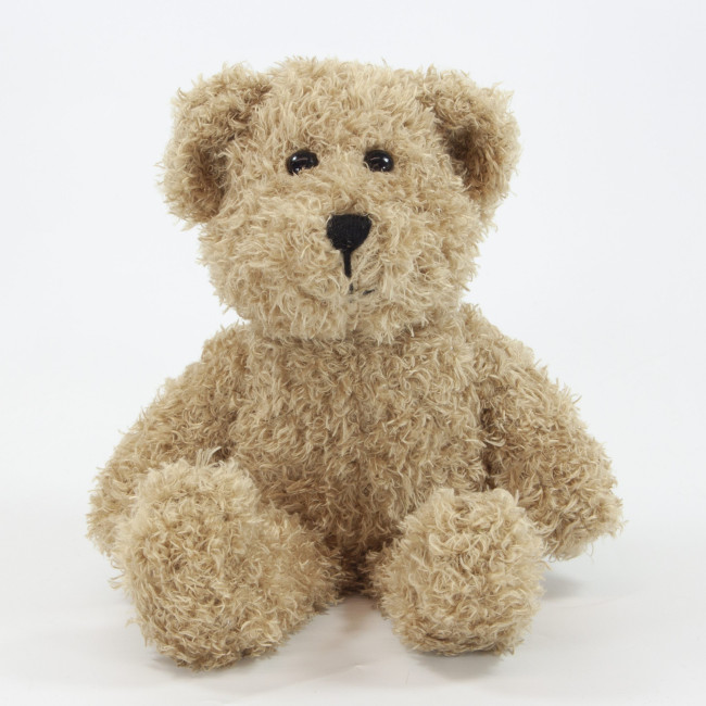 Custom Printed Scruffy Bear 25cm