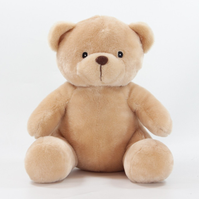 Custom Printed Theo Bear 25cm - Image 1