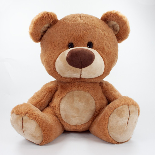 Custom Printed Charlie Bear 35cm - Image 1