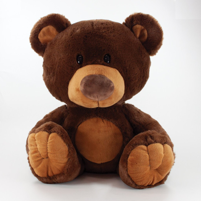 Custom Printed Charlie Bear 35cm - Image 2