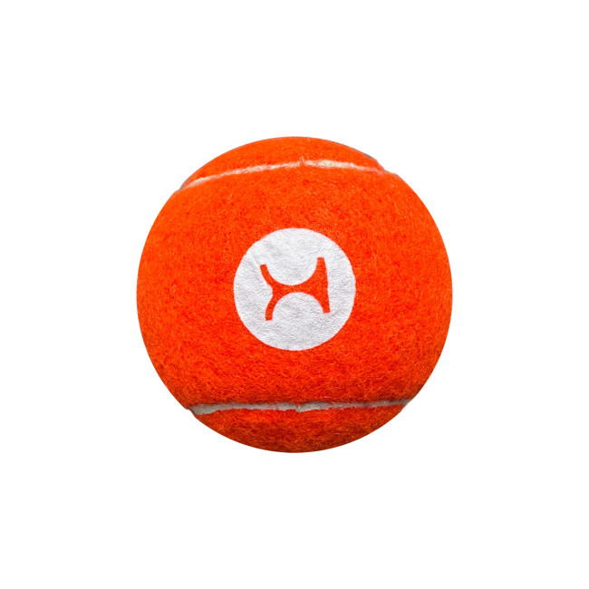 Custom Printed Dog Tennis Ball