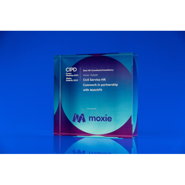 Custom Printed Square Crystal Award, 100 - Image 3