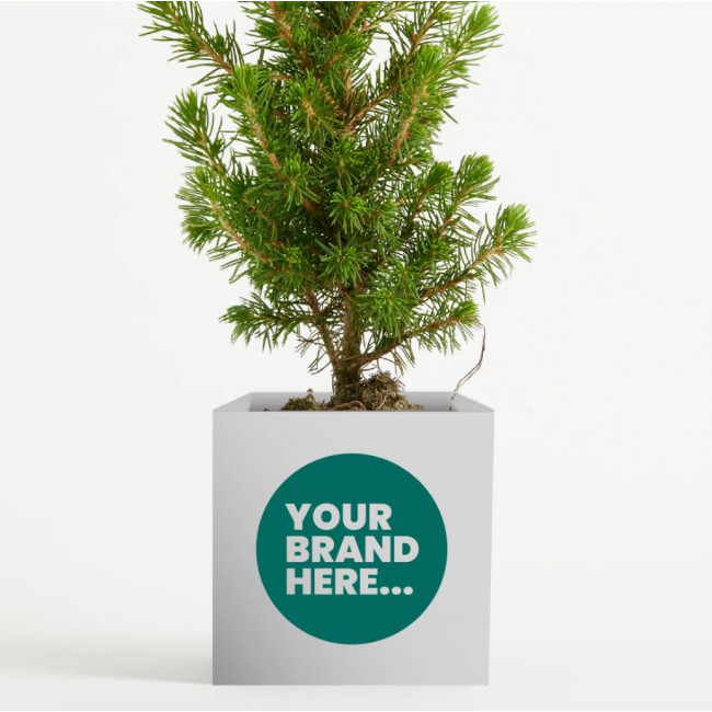 Custom Printed Christmas Tree in White Aluminium Pot