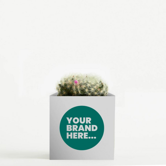 Custom Printed Cactus in White Aluminium Pot