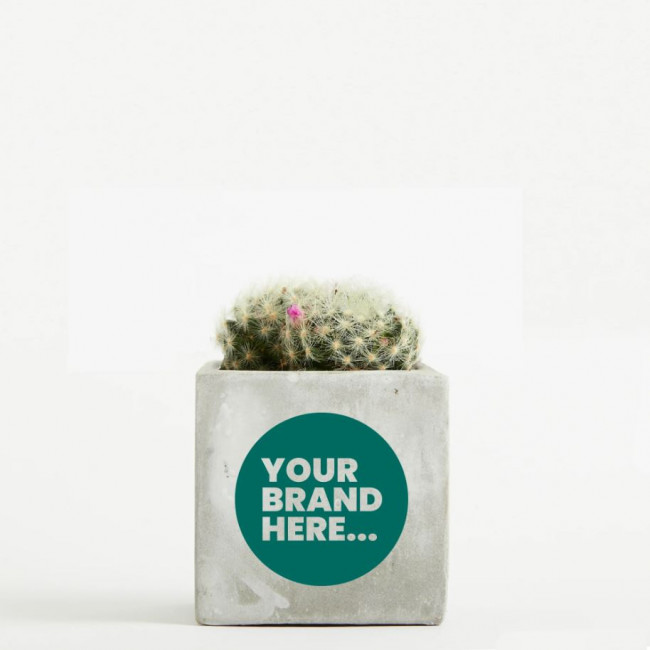 Custom Printed Cactus in Marble Concrete Pot - Image 1