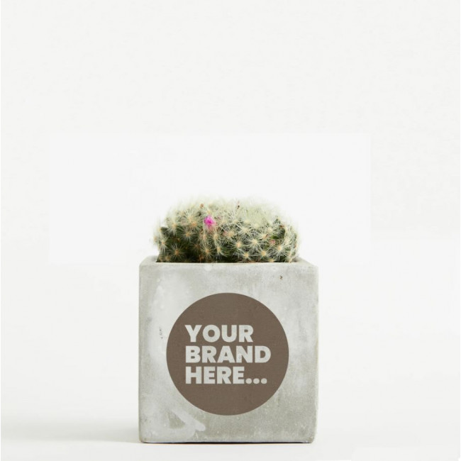 Custom Printed Cactus in Marble Concrete Pot - Image 2