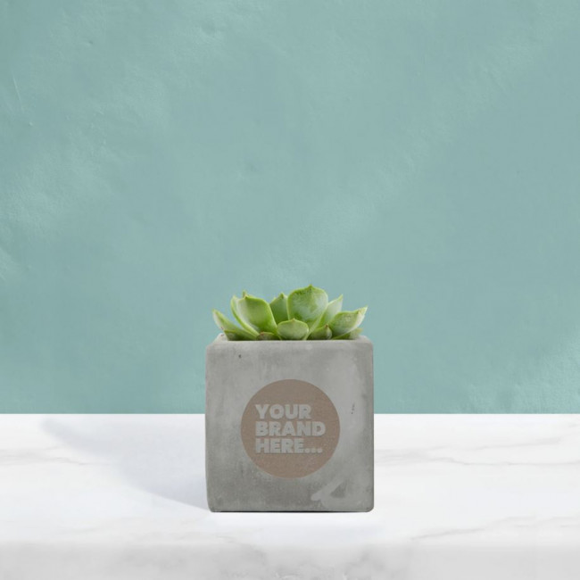 Custom Printed Succulent in Grey Concrete Pot - Image 2