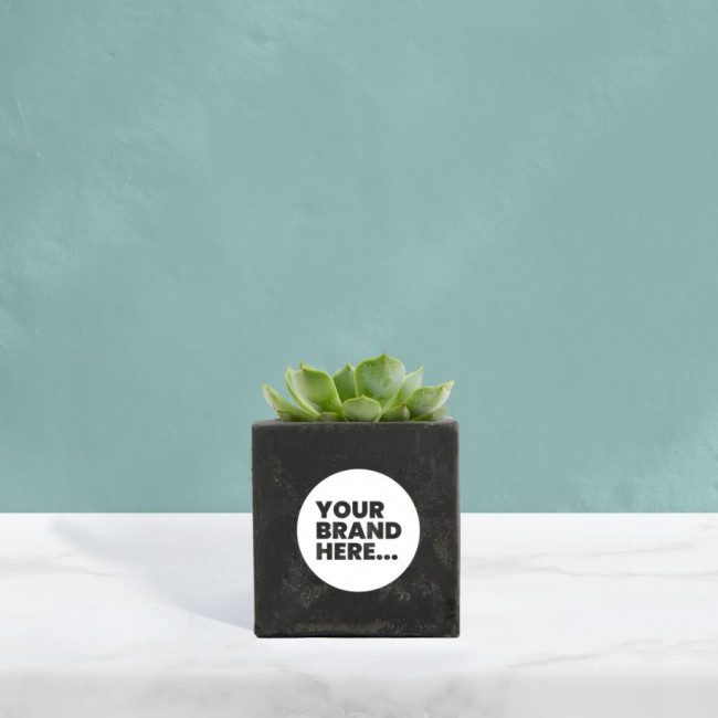 Custom Printed Succulent in Black Concrete Pot - Image 1