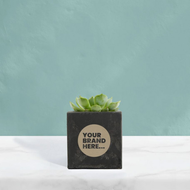 Custom Printed Succulent in Black Concrete Pot - Image 2