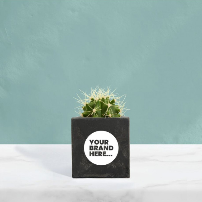 Custom Printed Cactus in Black Concrete Pot - Image 1