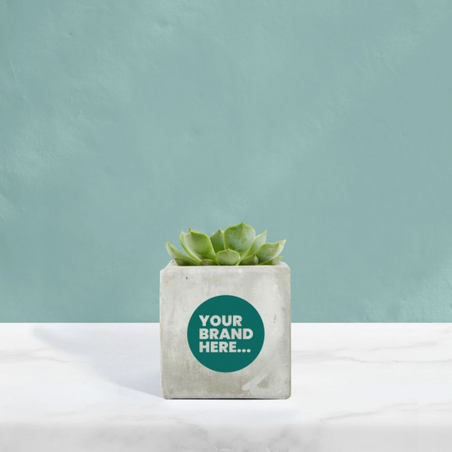 Custom Printed Succulent in Marble Concrete Pot - Image 1