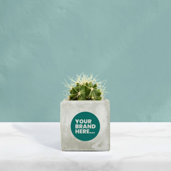 Custom Printed Cactus in Marble Concrete Pot - Image 1