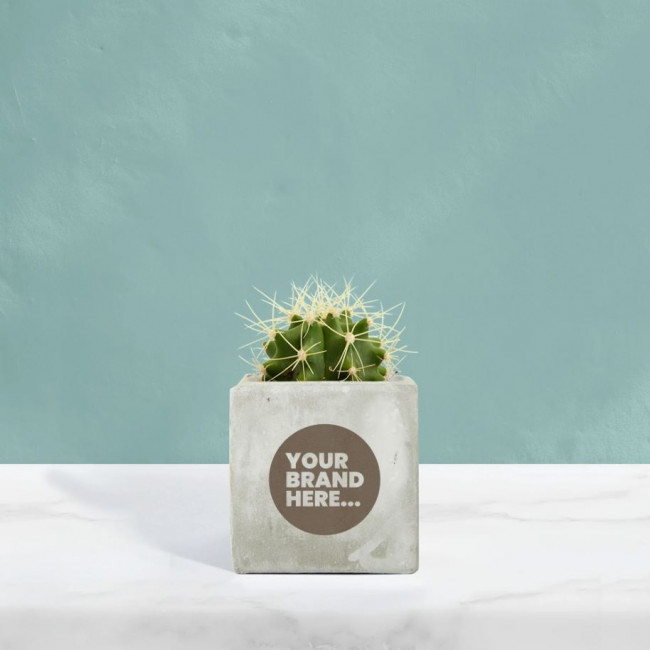 Custom Printed Cactus in Marble Concrete Pot - Image 2