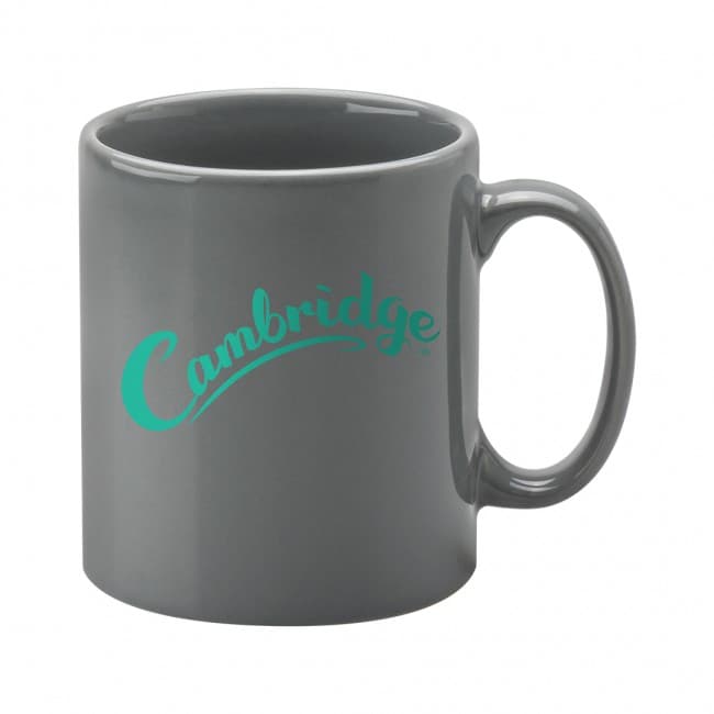 Custom Printed Cambridge Grey Mug