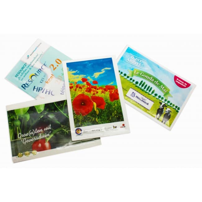 Custom Printed Large Seed Packets - Gloss