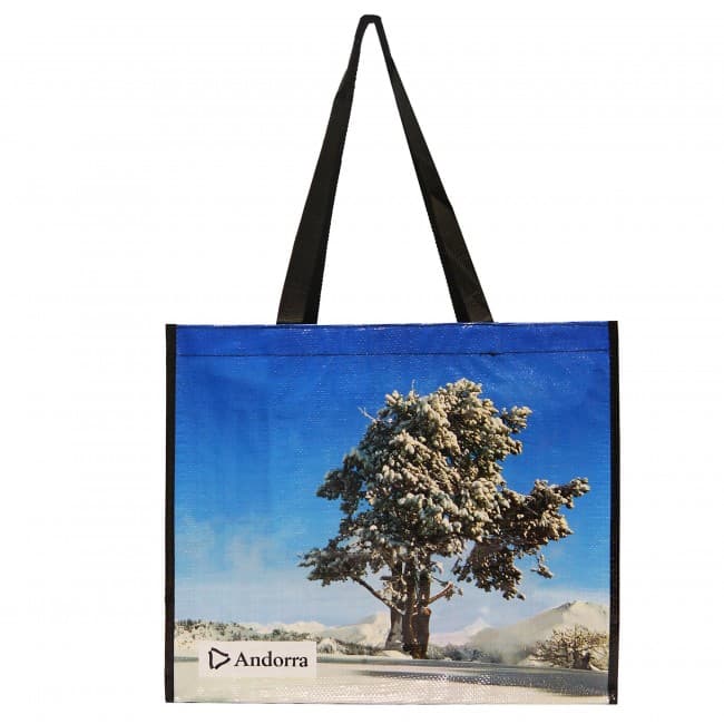 Custom Printed Woven Laminated Shopping Bag