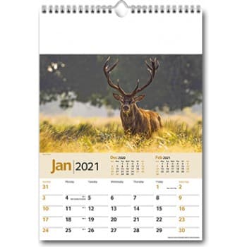 Wildlife Memo Wall Calendar