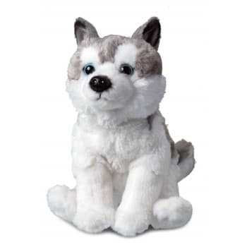 Plush husky Harri