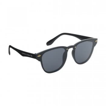 Carbon sunglasses