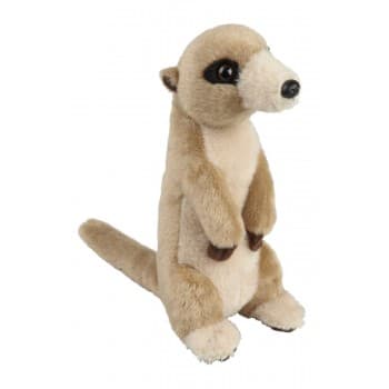 18cm Meerkat Plush