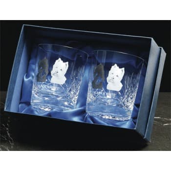 Pair Of Heavy Cut Crystal Glass Tumblers