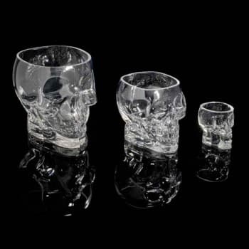 Skull Shape Drink Bowl