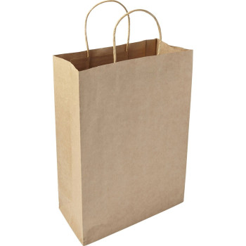 Large Paper bag