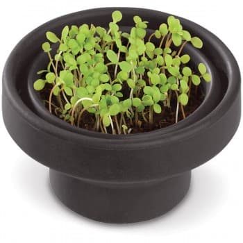 Garden foldable flowerpot with daisies