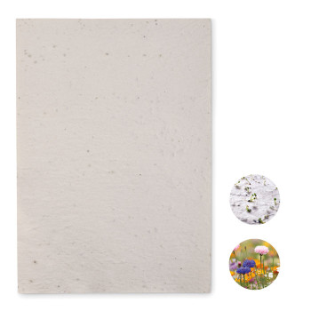 A4 Wildflower Seed Paper Sheet