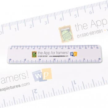 Plastic Ruler - Standard