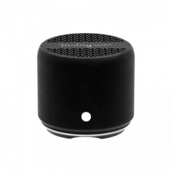 Levo Wireless Speaker